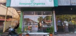 Evergreen Organics Image